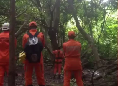 Maranhense segue “trepado” em árvore na Bahia