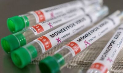 Anvisa libera medicamento e vacina contra varíola dos macacos