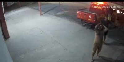 Cabo bombeiro salva bebê engasgado em Chapadinha…