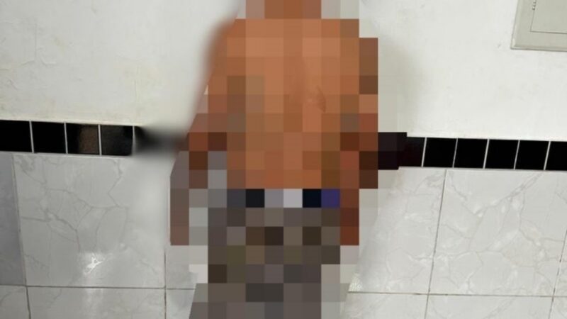 Foto: Reprodução
