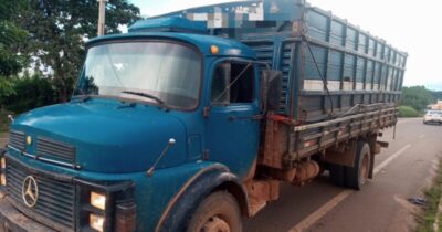 Caminhão boiadeiro é apreendido na BR-222