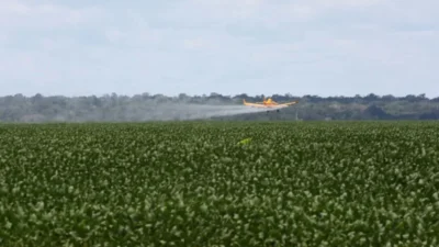 Ataques químicos: os agrotóxicos que caem do céu no Maranhão