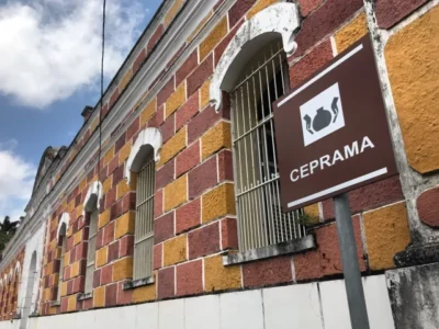 II Encontro de Brechós SLZ 2024 acontece nesta sexta-feira e sábado, no Ceprama