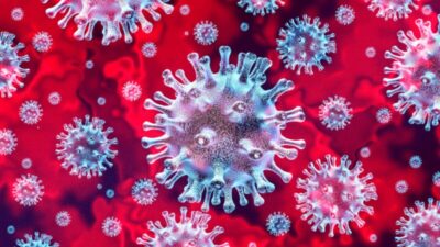 Governo do Maranhão decreta calamidade pública por causa de Covid-19, H1N1 e chuvas