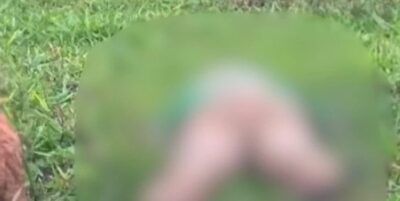 Dois homens são encontrados mortos na zona rural de João Lisboa