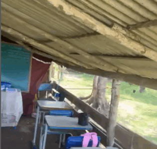 Prefeito de Viana oferta escola em galpão de galinha, mesmo tendo recebido quase R$ 30 milhões do FUNDEB