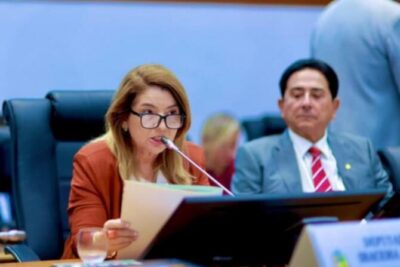 Iracema Vale destaca Nota de Esclarecimento do Parlamento sobre escolha de conselheiro do TCE/MA