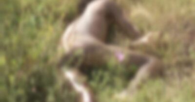 Achado cadavérico: Corpo de homem é encontrado no bairro D.E.R, em Itapecuru-Mirim/MA.