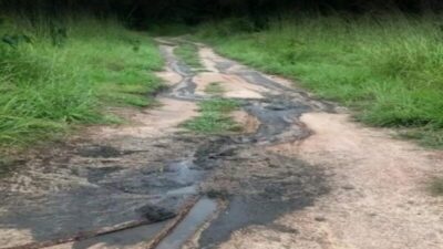 Indígenas Guajajara denunciam descarte ilegal de dejetos em área protegida no Maranhão