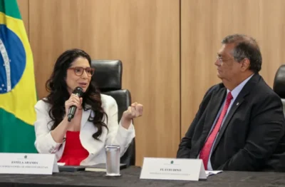 Ministros e Flávio Dino fazem campanha para candidatas a vaga no TSE