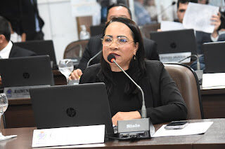 Vereadora Concita Pinto Apresenta Lei Que Garante Direitos a Idosos e Pessoas com Deficiência em São Luís