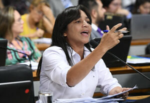 Eliziane Gama, votos dos eleitores
