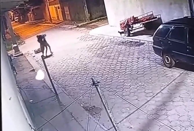 Foto: Reprodução