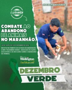 Deputado Wellington destaca lei de sua autoria que institui o “Dezembro Verde” e combate o abandono e maus tratos de animais
