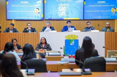 Câmara realiza painel para tratar sobre segurança no trânsito