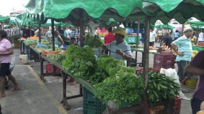 Veja o edital de chamamento público para parcerias no projeto ‘Agrofeiras’ lançado pela prefeitura de São Luís