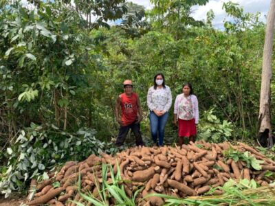 Gestão do prefeito Arnóbio investe na agricultura familiar em Jenipapo dos Vieiras