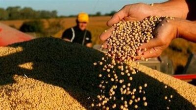 Maranhão: Abiove vai à Justiça contra tributo na exportação de grãos