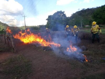 IBAMA pede força nacional no Maranhão para combater incêndios florestais no ‘Parque do Mirador’…
