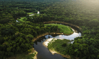 BNDES destina R$ 318,5 milhões para projeto de segurança amazônico