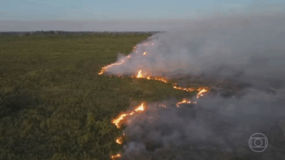 Fogo consome 62% do Pantanal brasileiro em 40 anos, diz estudo