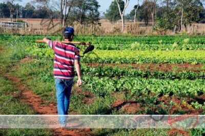 Lei que retoma o Programa de Aquisição de Alimentos é sancionada