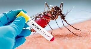 Maranhão registra primeira morte por dengue, outras 10 mortes estão sob investigação