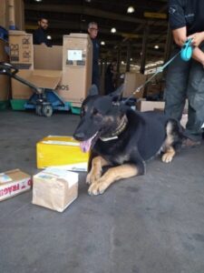 3kg de drogas são apreendidos em unidade dos Correios no MA