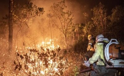 Senadores buscam agravar penas em crimes de incêndio; entenda