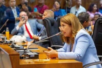 Cármem Lúcia admite partidos como amicus curiae em processo sobre eleição da presidência da Alema