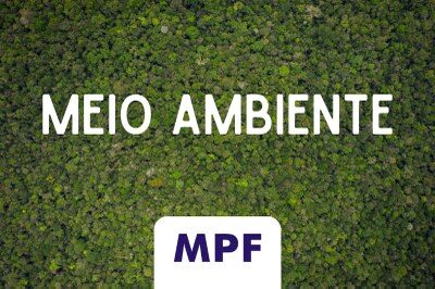 A pedido do MPF, Justiça condena proprietário de fazenda a recuperar área de floresta desmatada ilegalmente no MA