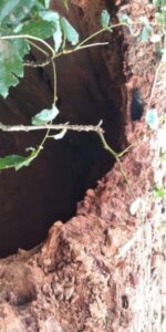 MA-119 praticamente rompida entre Lago da Pedra e Pedreiras, região do Médio Mearim