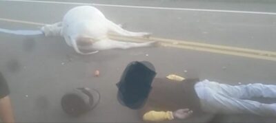 Motociclista morre após bater em animal na MA-272 entre Barra do Corda e Fernando Falcão