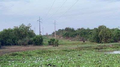 MPF entra com ação na Justiça Federal pedindo a retirada de linha de transmissão de energia dentro de reserva indígena no Maranhão