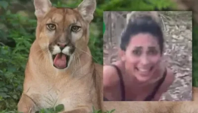 Foi no Piuaí: Ibama localiza e multa mulher que apareceu matando onça na internet