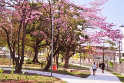 Prefeitura de São Luís celebra Dia das Crianças com manhã de brincadeiras no Parque do Bom Menino