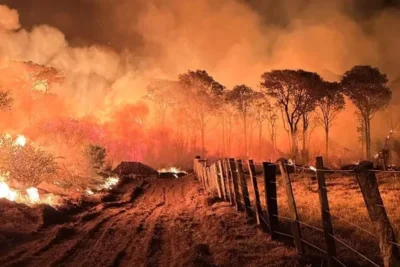 Pantanal já teve 62% do território atingido por queimadas desde 1985, aponta relatório