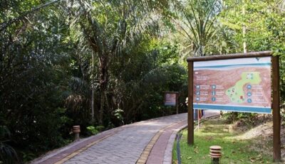 Parque Botânico reabre para visitação em São Luís