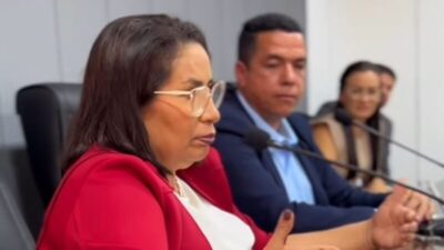 Paula Azevedo apresenta ações da gestão na Câmara Municipal