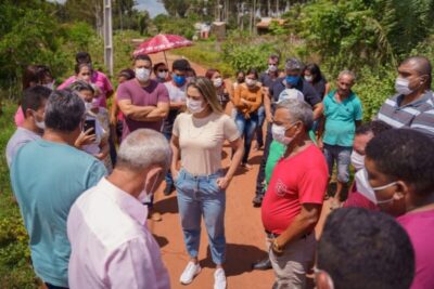 Pinheiro – Estilo Lobato