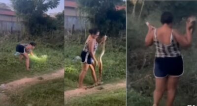 VÍDEO! No Maranhão, mulher captura cobra com as mãos e viraliza: “Gosto de Cobras. Sempre sou eu quem pega elas quando o bombeiro não vem”, diz ela