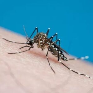 Dengue tipo 3 volta a circular após 17 anos no Brasil, causando preocupação entre autoridades de saúde