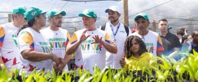 Maranhão registra queda no desmatamento dos biomas Cerrado e Amazônia no primeiro bimestre de 2025