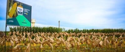Maranhão registra crescimento do PIB e supera média nacional, revela estudo do Imesc