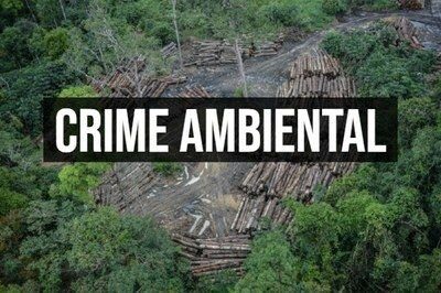 Por 7×0, TSE cassa mandato de prefeito que foi condenado pela prática de crime ambiental