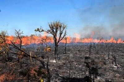 Maranhão é o 3º no ranking de queimadas
