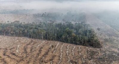STF autoriza desapropriação de terras com incêndios e desmatamento ilegal