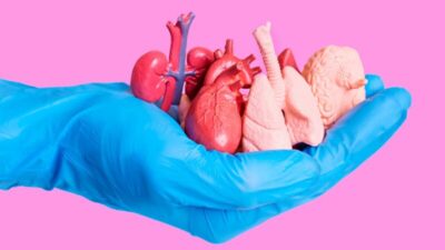Brasil registra recorde histórico de transplantes, mas número de doadores cai