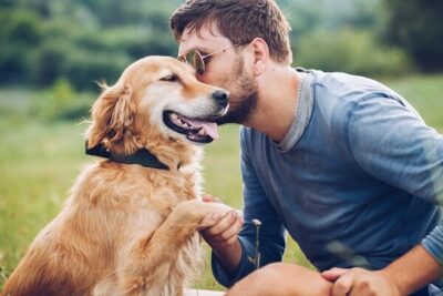 Câmara analisa PL que libera entrada de animais em espaços públicos em São Luís