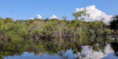 Rio Negro inicia vazante em Manaus, mas alagamentos persistem
